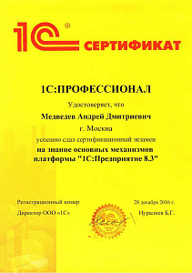 Медведев ПРОФ по платформе